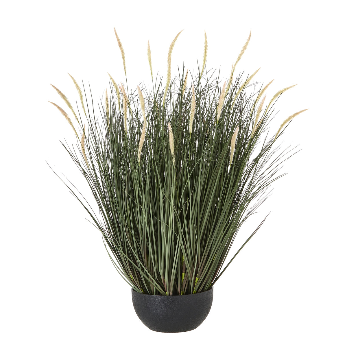 Large Fountain Grass Plant In Pot - GREEN