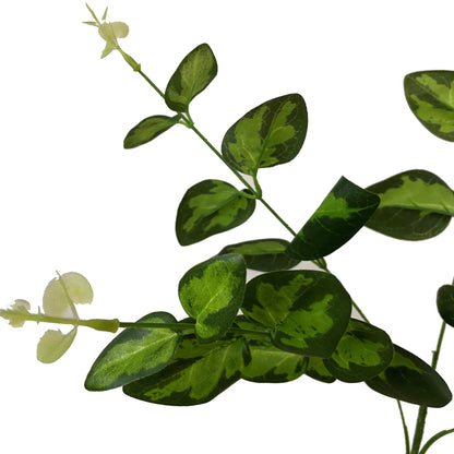 Variegated Leaf Spray - GREEN