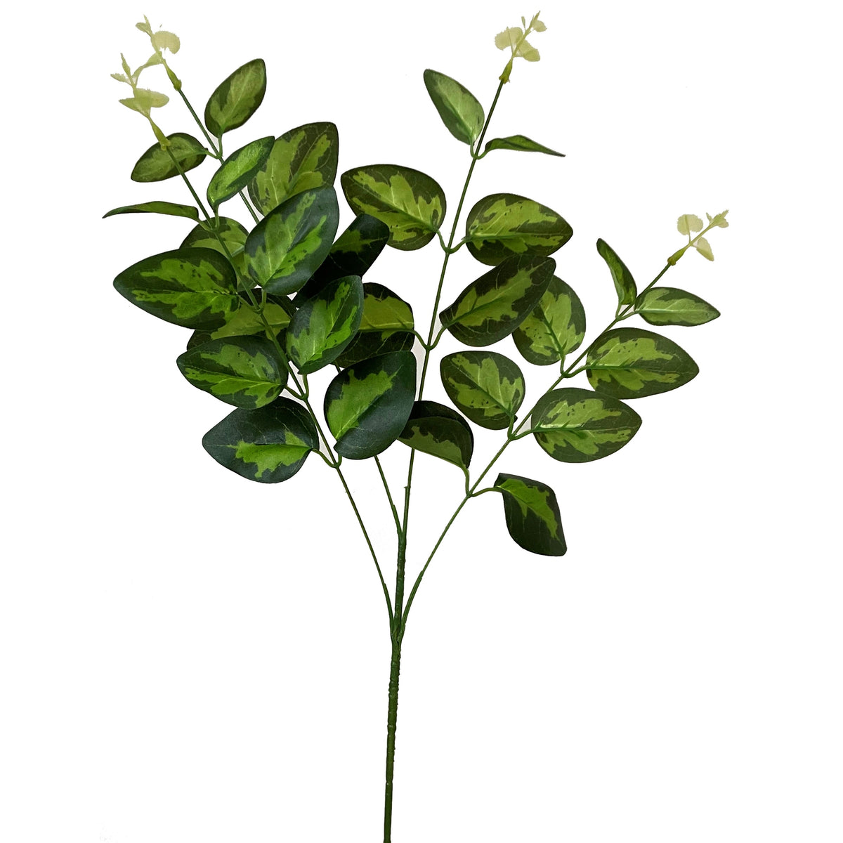 Variegated Leaf Spray - GREEN
