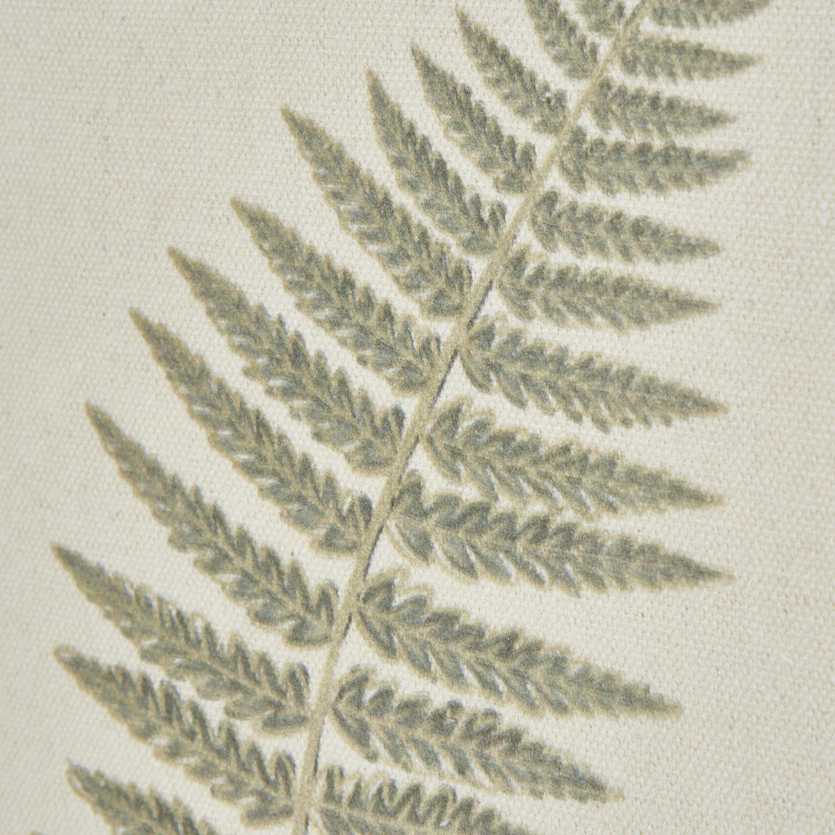 Fern Art On Texture-Torn Paper With Beaded Frame - WHITE