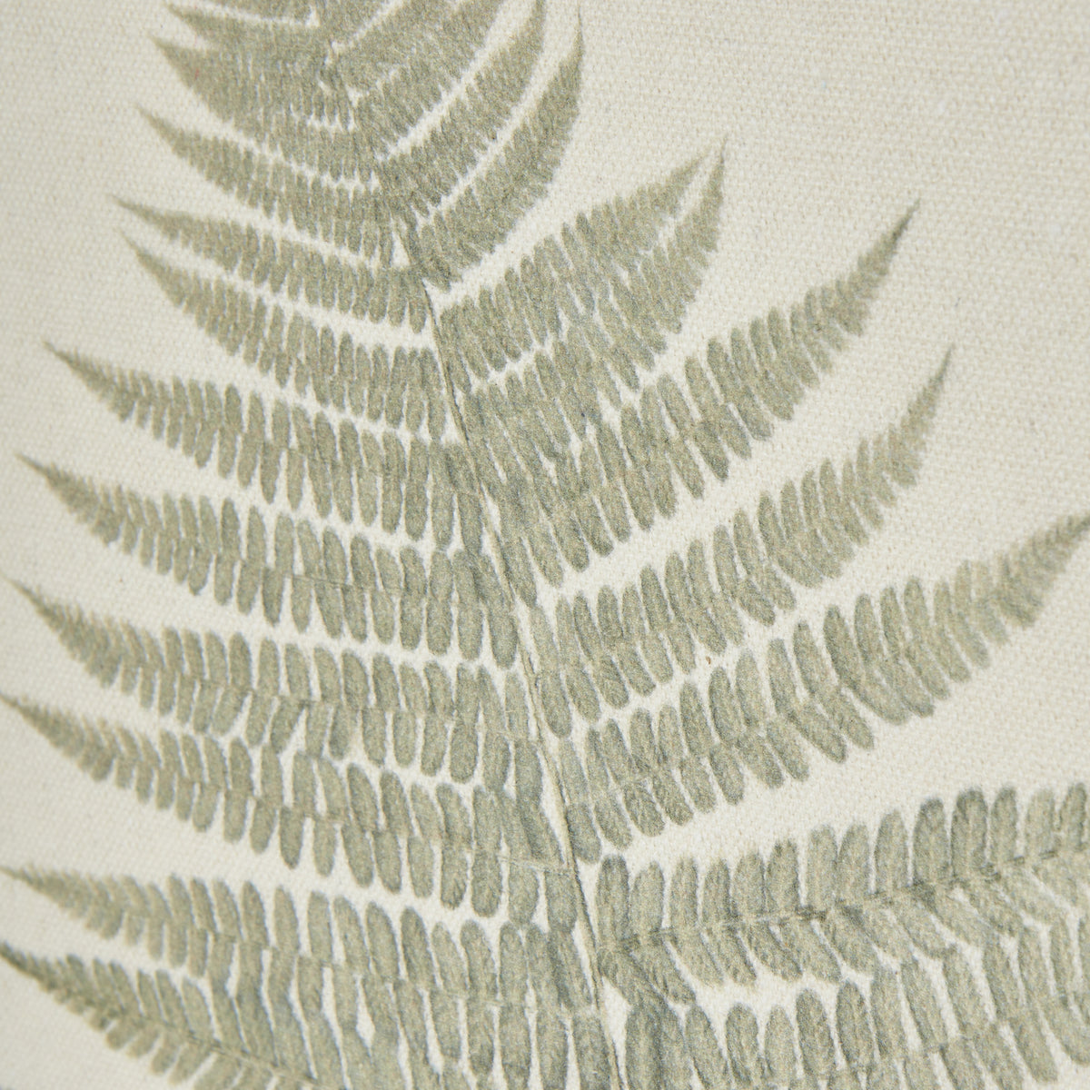 Bracken Art On Texture-Torn Paper With Beaded Frame - WHITE