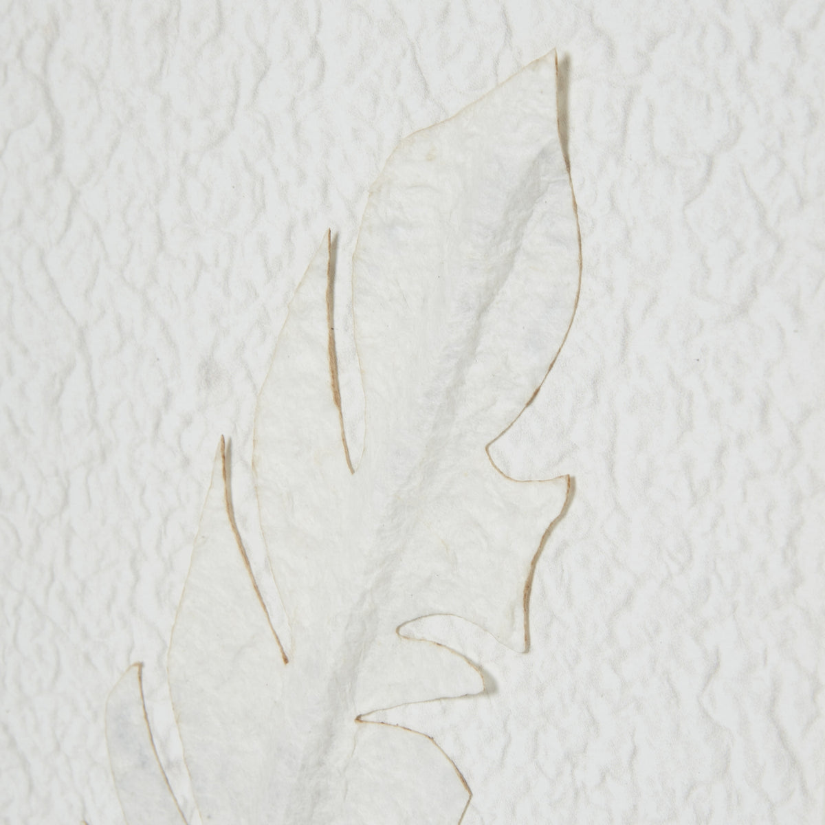 Solli White Feathers Art Mounted In Beaded Frame - BROWN