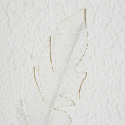 Solli White Feathers Art Mounted In Beaded Frame - BROWN