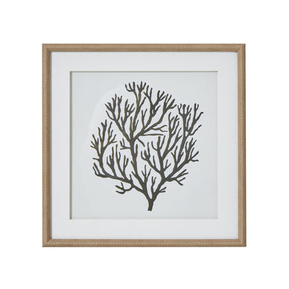 Atol Coral Art Mounted In Beaded Frame - BROWN