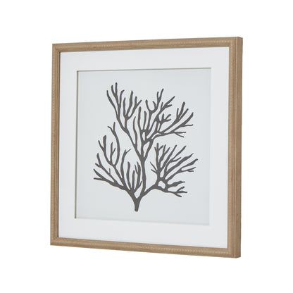 Reef Coral Art Mounted In Beaded Frame - BROWN
