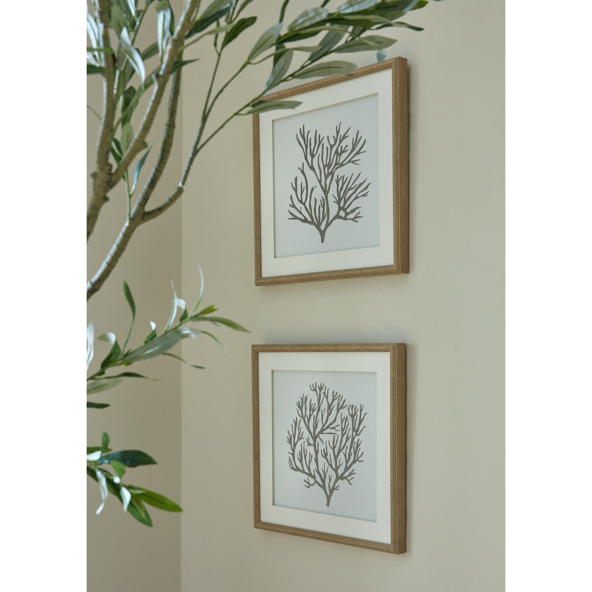 Reef Coral Art Mounted In Beaded Frame - BROWN