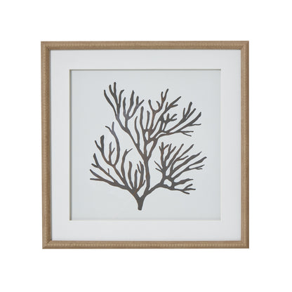 Reef Coral Art Mounted In Beaded Frame - BROWN