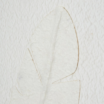 Large Quill White Feather Art Mounted In Beaded Frame - BROWN