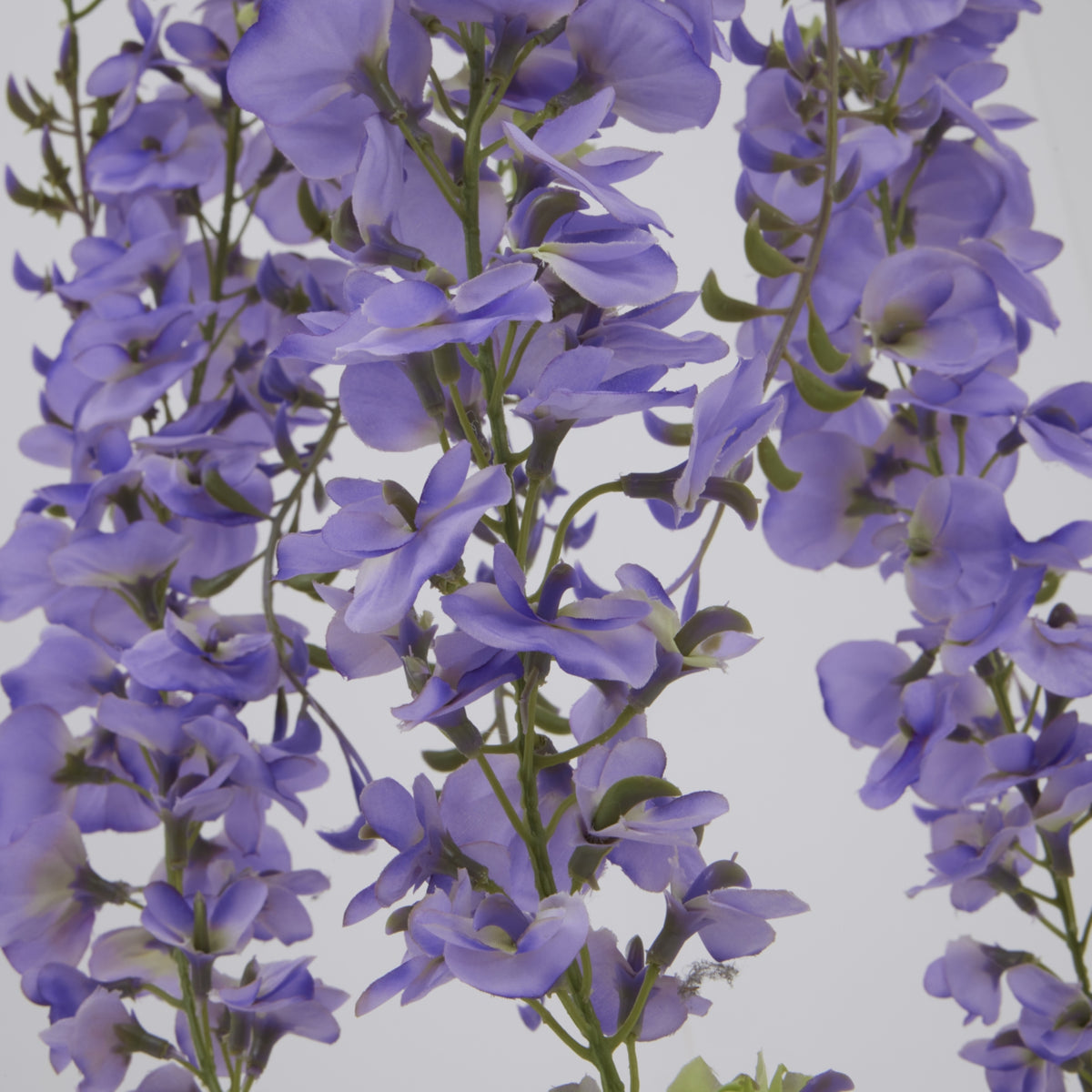 Large Purple Wisteria Spray - GREEN