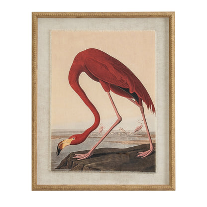 Flora & Fauna Collection Flamingo On Linen In Beaded Frame - BROWN