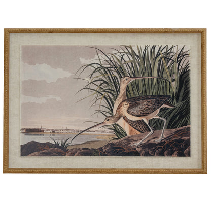 Flora & Fauna Collection Curlews On Linen In Beaded Frame - BROWN