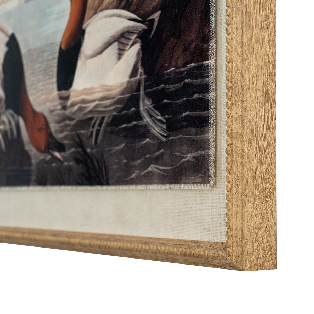 Flora & Fauna Collection Pochards On Linen In Beaded Frame - BROWN