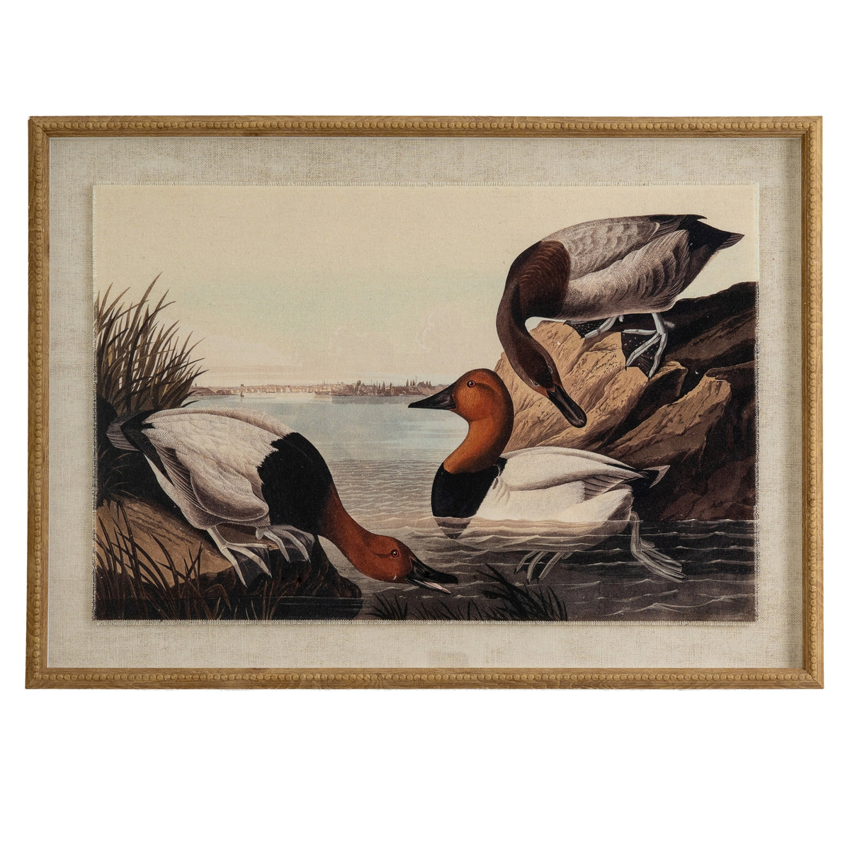 Flora & Fauna Collection Pochards On Linen In Beaded Frame - BROWN