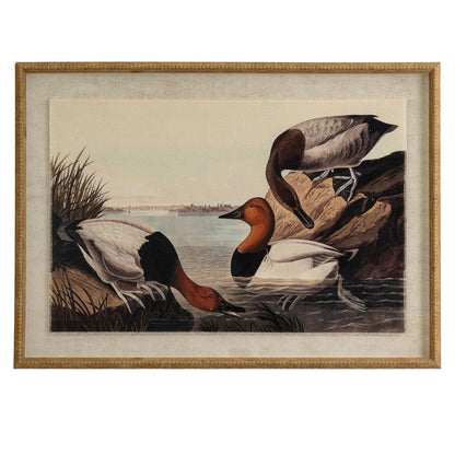 Flora & Fauna Collection Pochards On Linen In Beaded Frame - BROWN