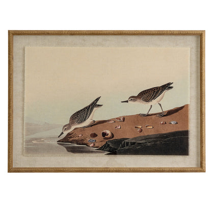 Flora & Fauna Collection Stints On Linen In Beaded Frame - BROWN