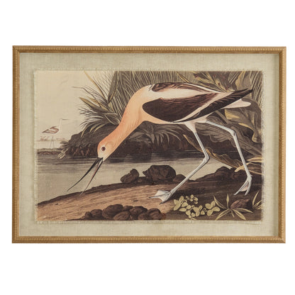 Flora & Fauna Collection Avocet On Linen In Beaded Frame - BROWN