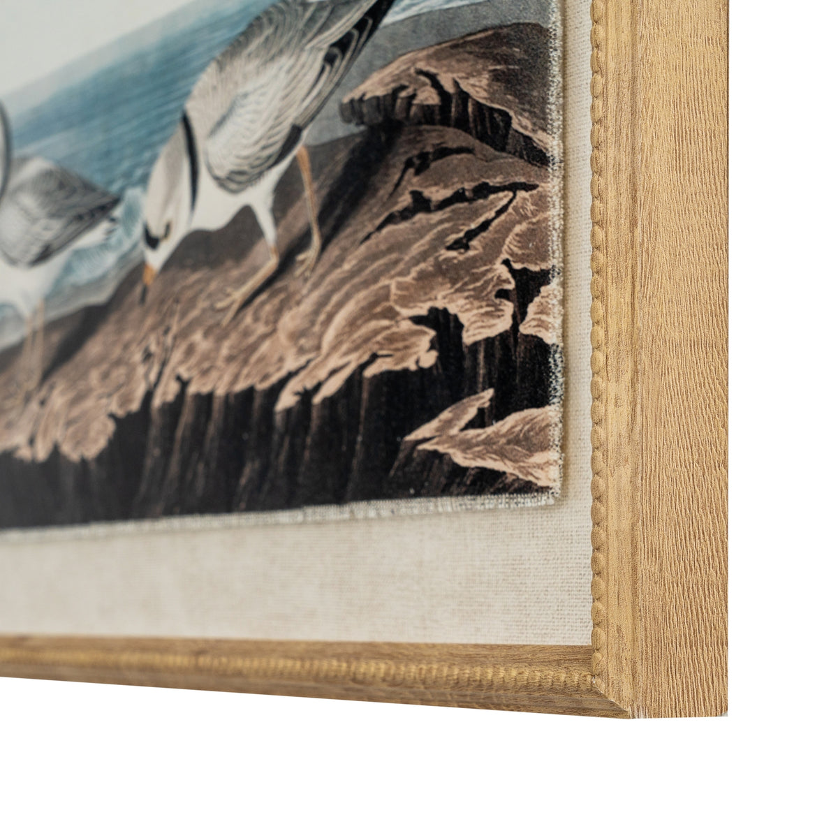 Flora & Fauna Collection Plovers On Linen In Beaded Frame - BROWN
