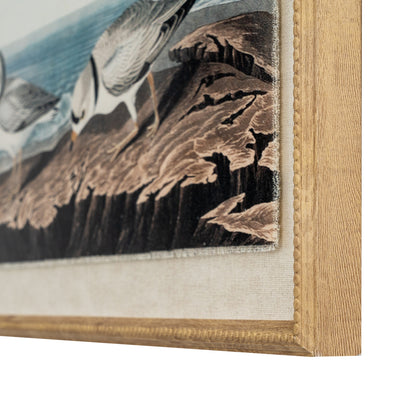 Flora & Fauna Collection Plovers On Linen In Beaded Frame - BROWN