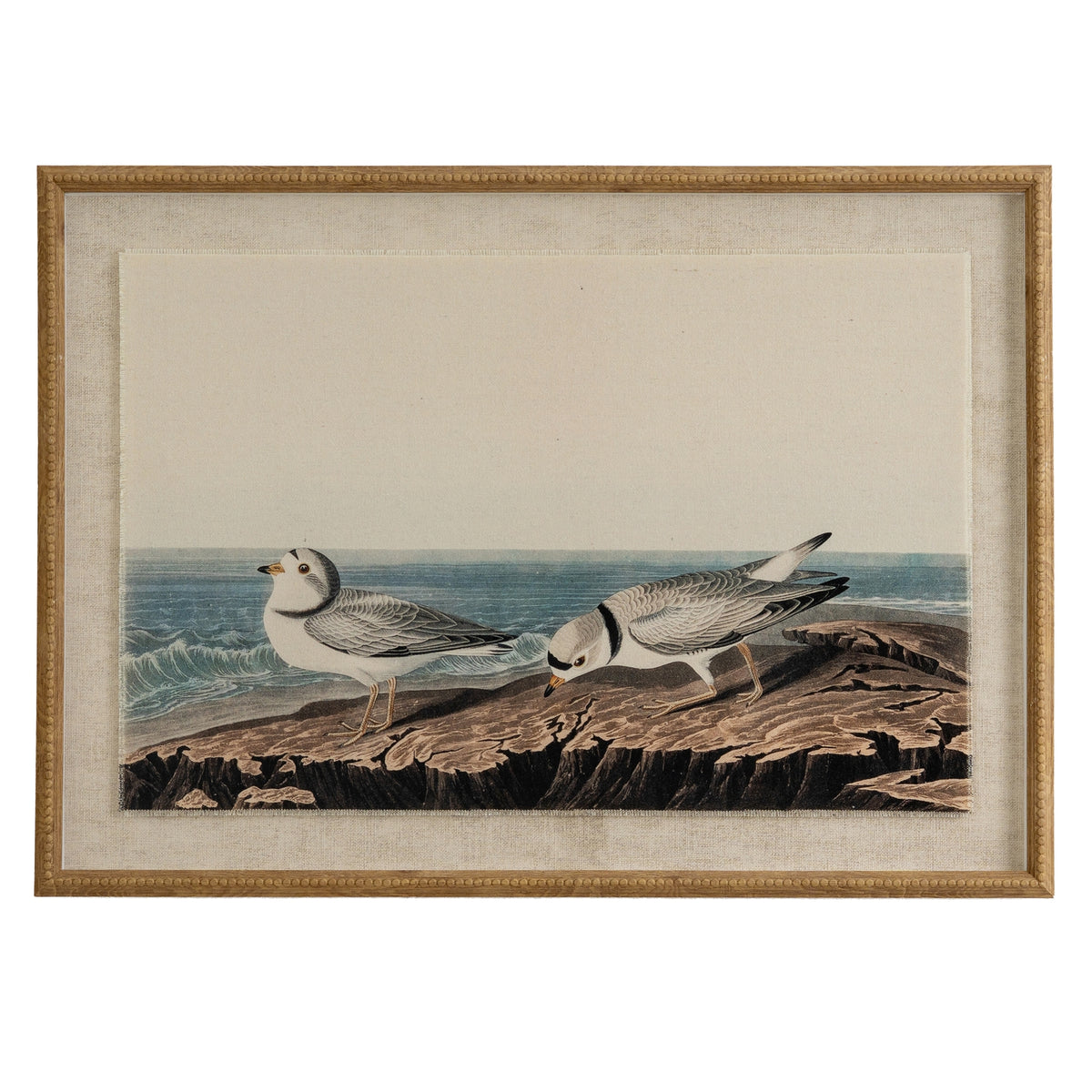 Flora & Fauna Collection Plovers On Linen In Beaded Frame - BROWN