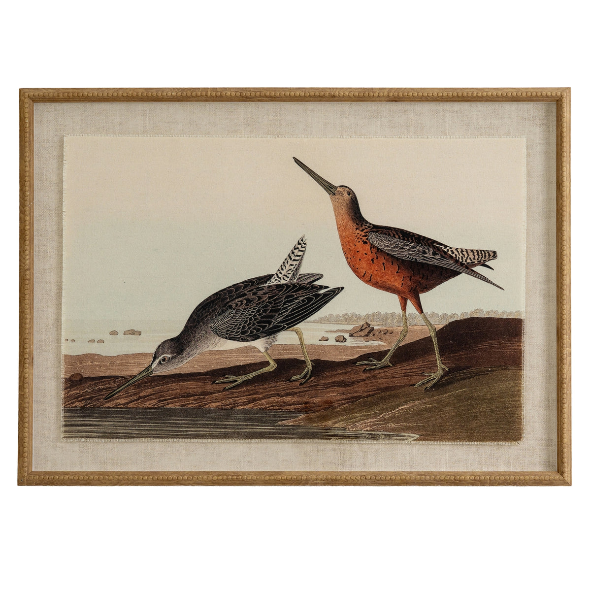 Flora & Fauna Collection Snipes On Linen In Beaded Frame - BROWN