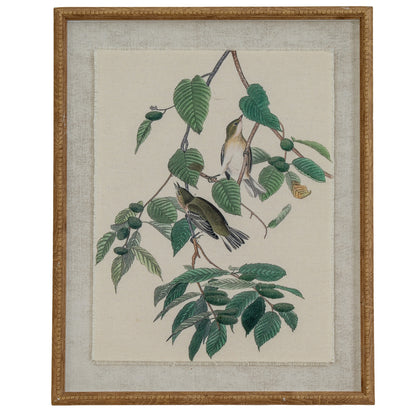 Flora & Fauna Collection Warblers On Linen In Beaded Frame - BROWN