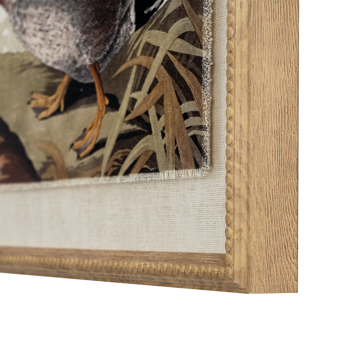 Flora & Fauna Collection Duck On Linen In Beaded Frame - BROWN