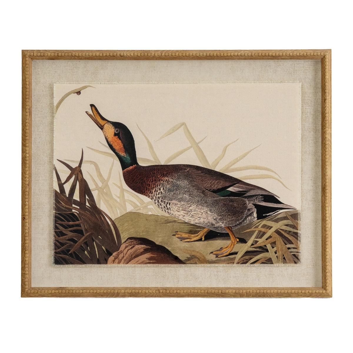 Flora & Fauna Collection Duck On Linen In Beaded Frame - BROWN