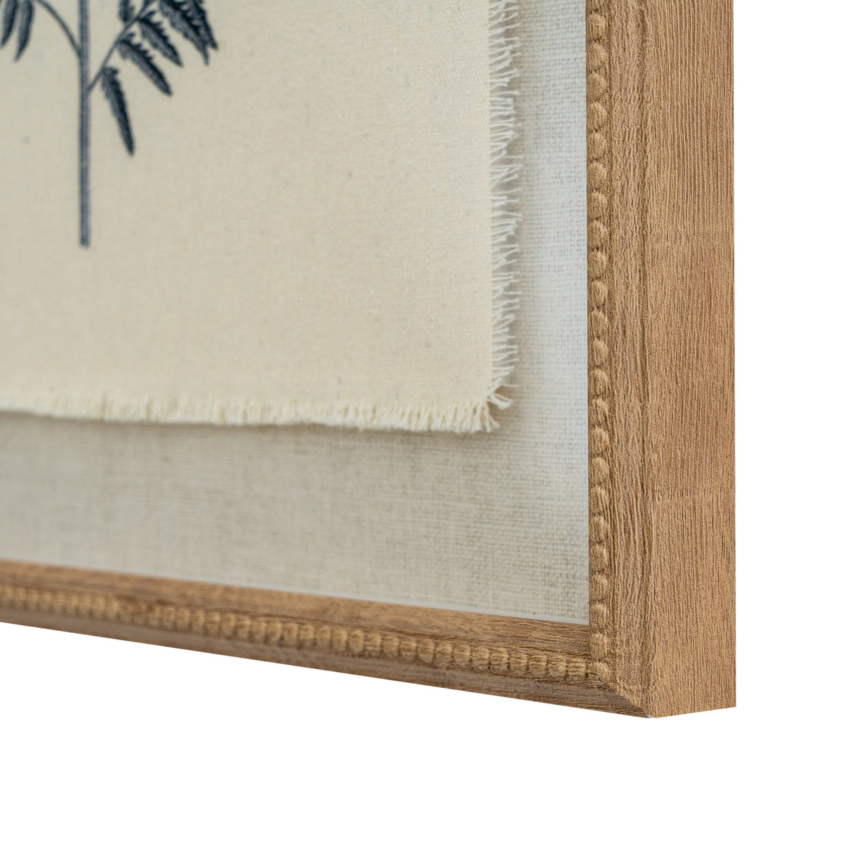 Flora & Fauna Collection Beech Fern On Linen In Beaded Frame - WHITE