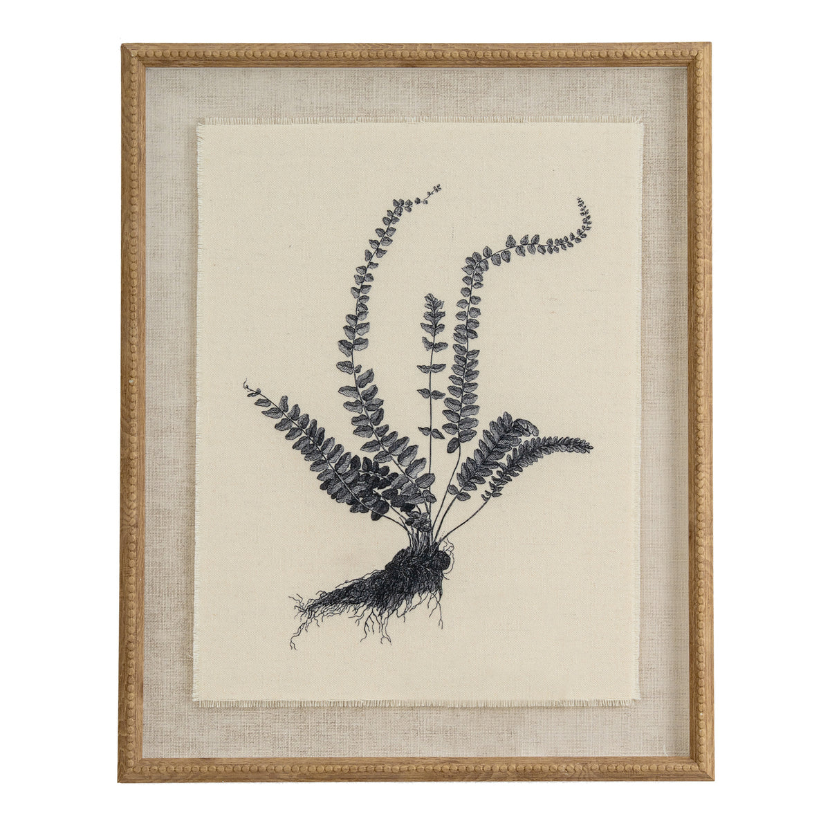 Flora & Fauna Collection Spleenwort On Linen In Beaded Frame - WHITE