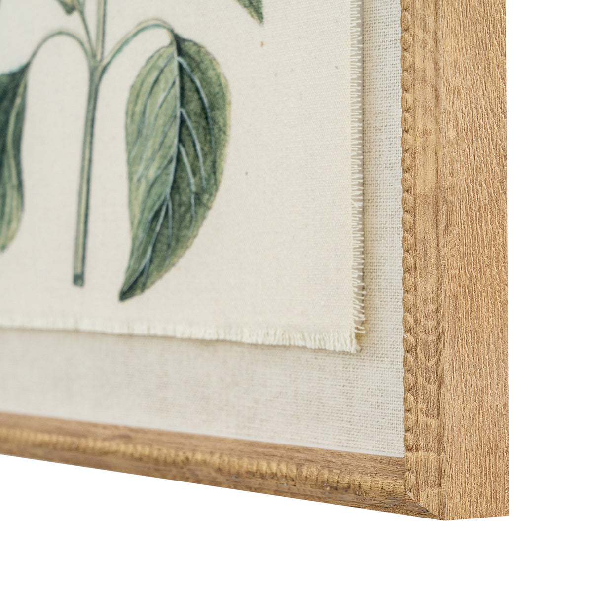 Flora & Fauna Collection Salvia On Linen In Beaded Frame - BROWN