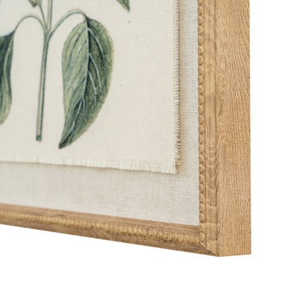 Flora & Fauna Collection Salvia On Linen In Beaded Frame - BROWN