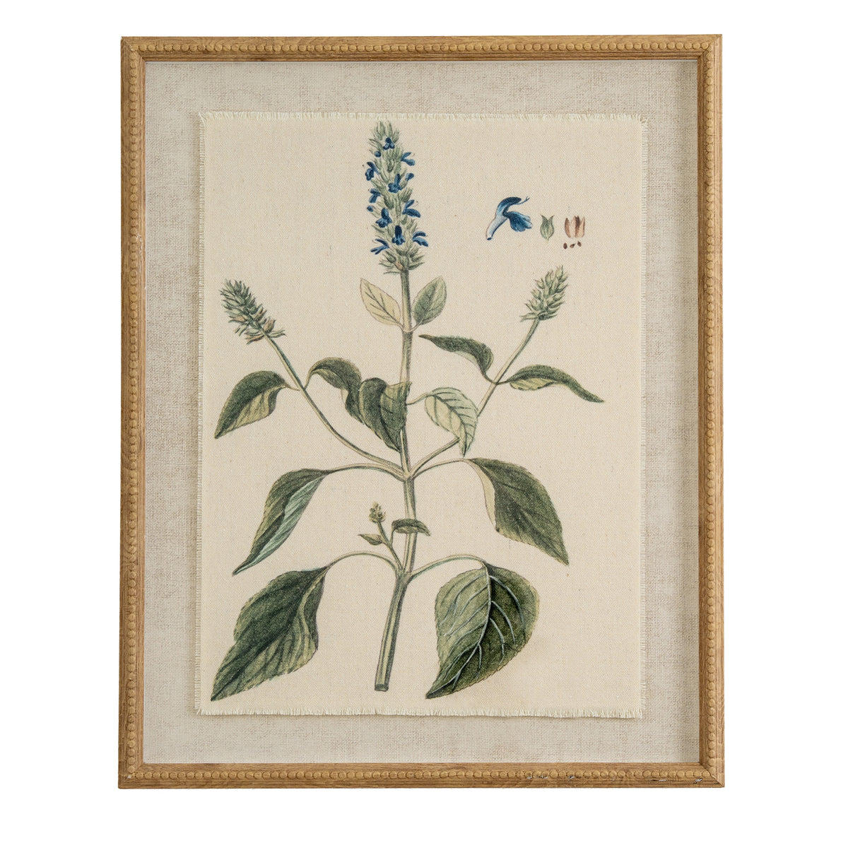 Flora & Fauna Collection Salvia On Linen In Beaded Frame - BROWN