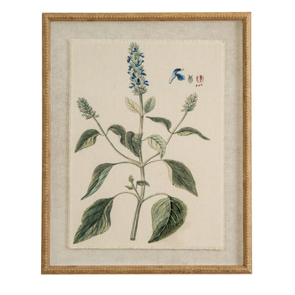 Flora & Fauna Collection Salvia On Linen In Beaded Frame - BROWN
