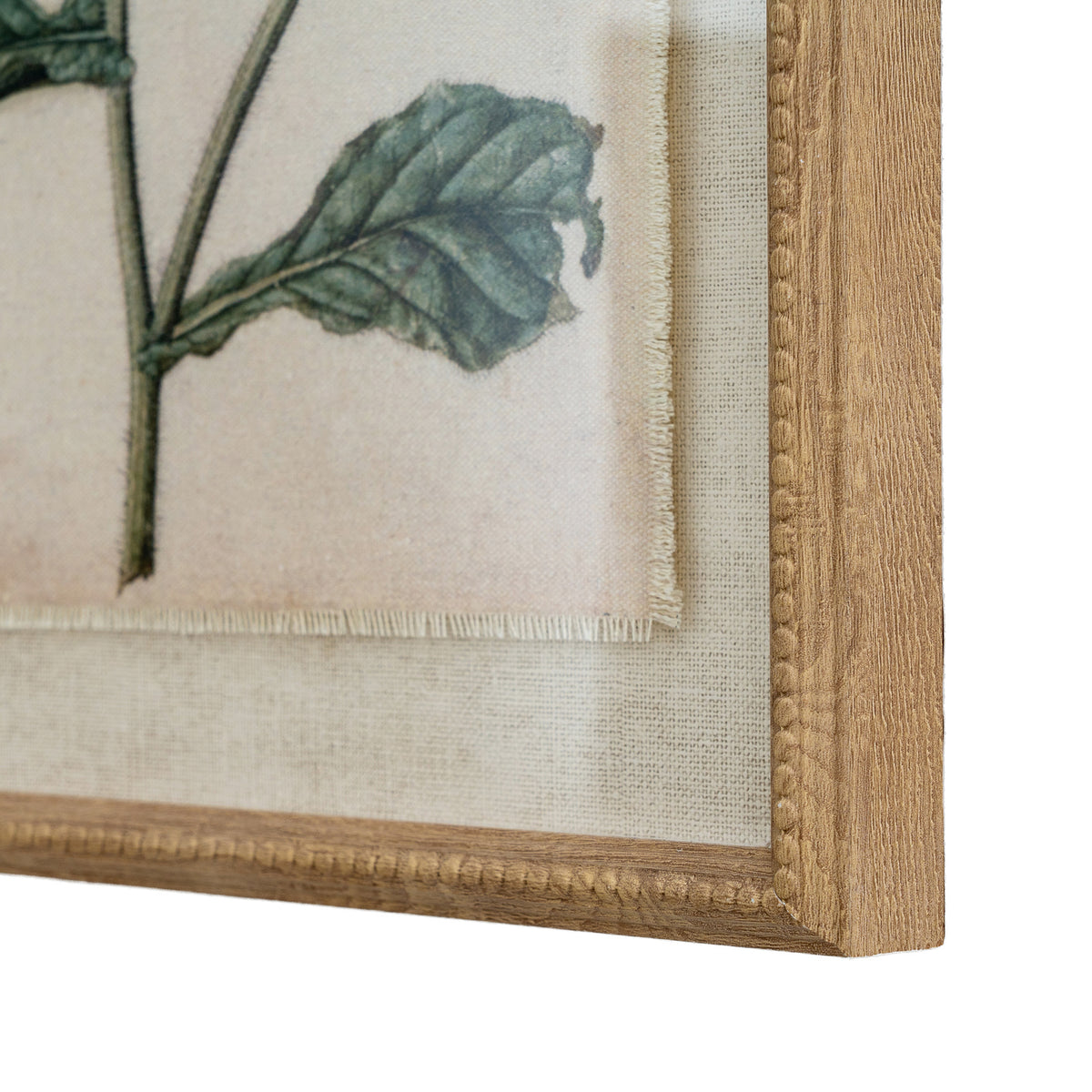 Flora & Fauna Collection Borage On Linen In Beaded Frame - BROWN