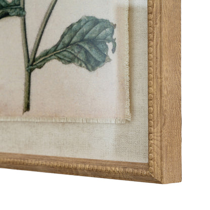 Flora & Fauna Collection Borage On Linen In Beaded Frame - BROWN