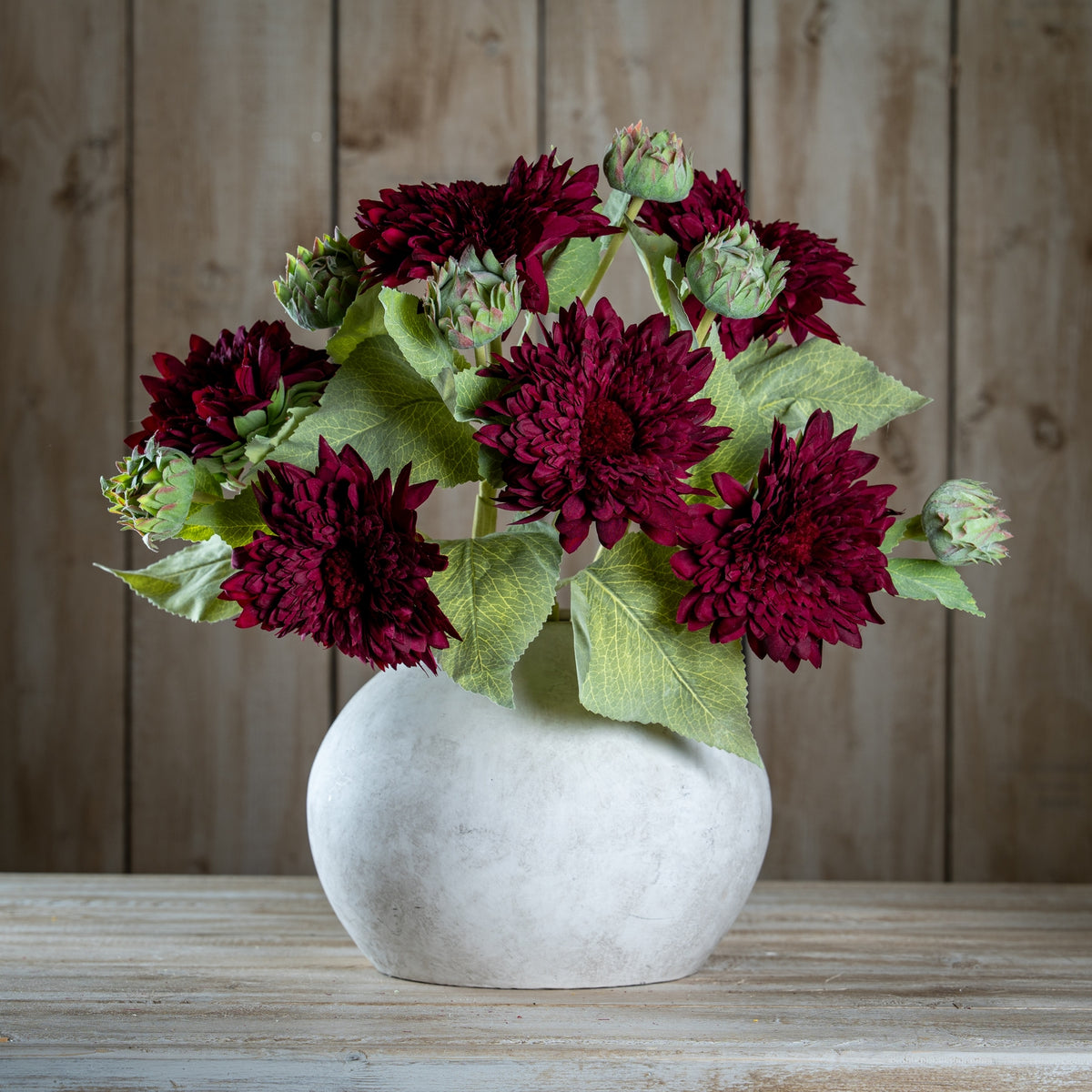 Dahlia Burgundy Raven Stem - GREEN