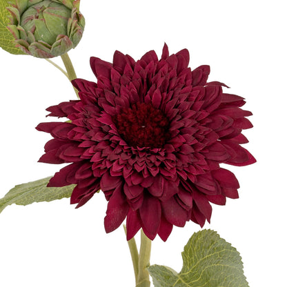 Dahlia Burgundy Raven Stem - GREEN