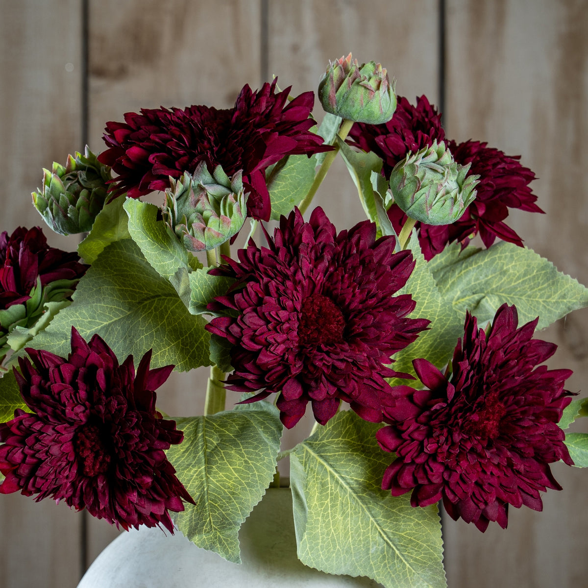 Dahlia Burgundy Raven Stem - GREEN