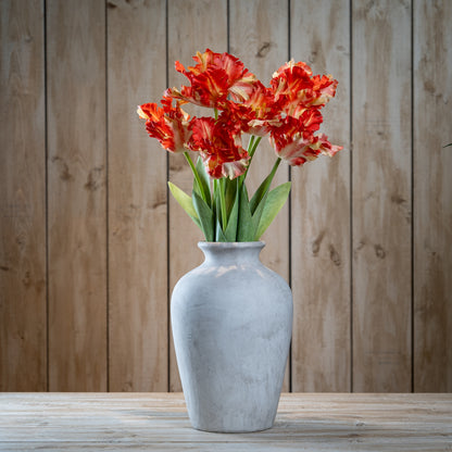 Flame Orange Parrot Tulip - GREEN