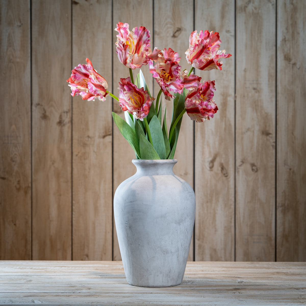 Multi Pink Parrot Tulip - GREEN