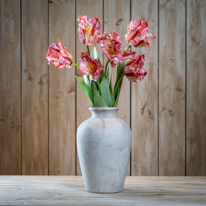 Multi Pink Parrot Tulip - GREEN
