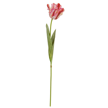 Multi Pink Parrot Tulip - GREEN