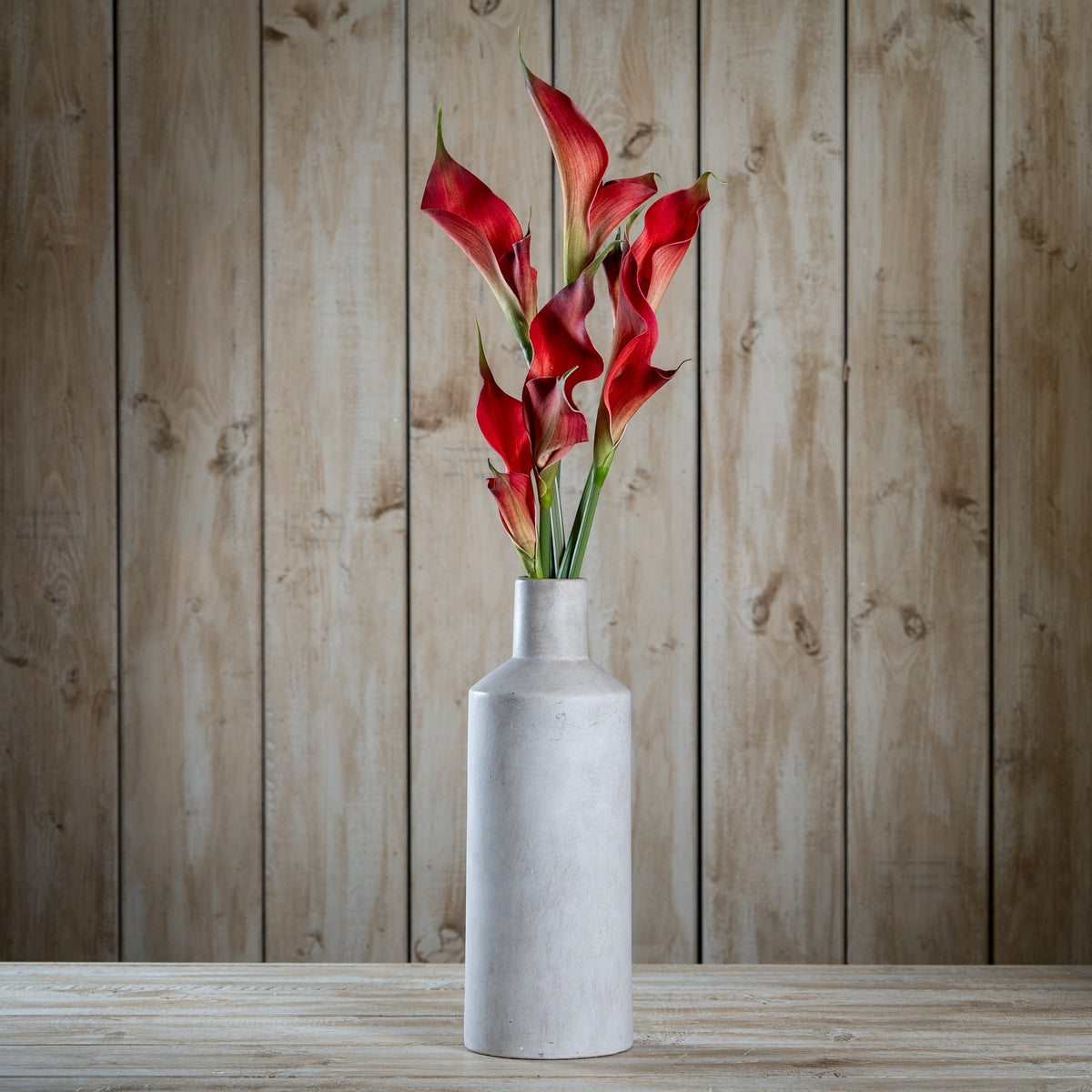Fireball Calla Lily - RED