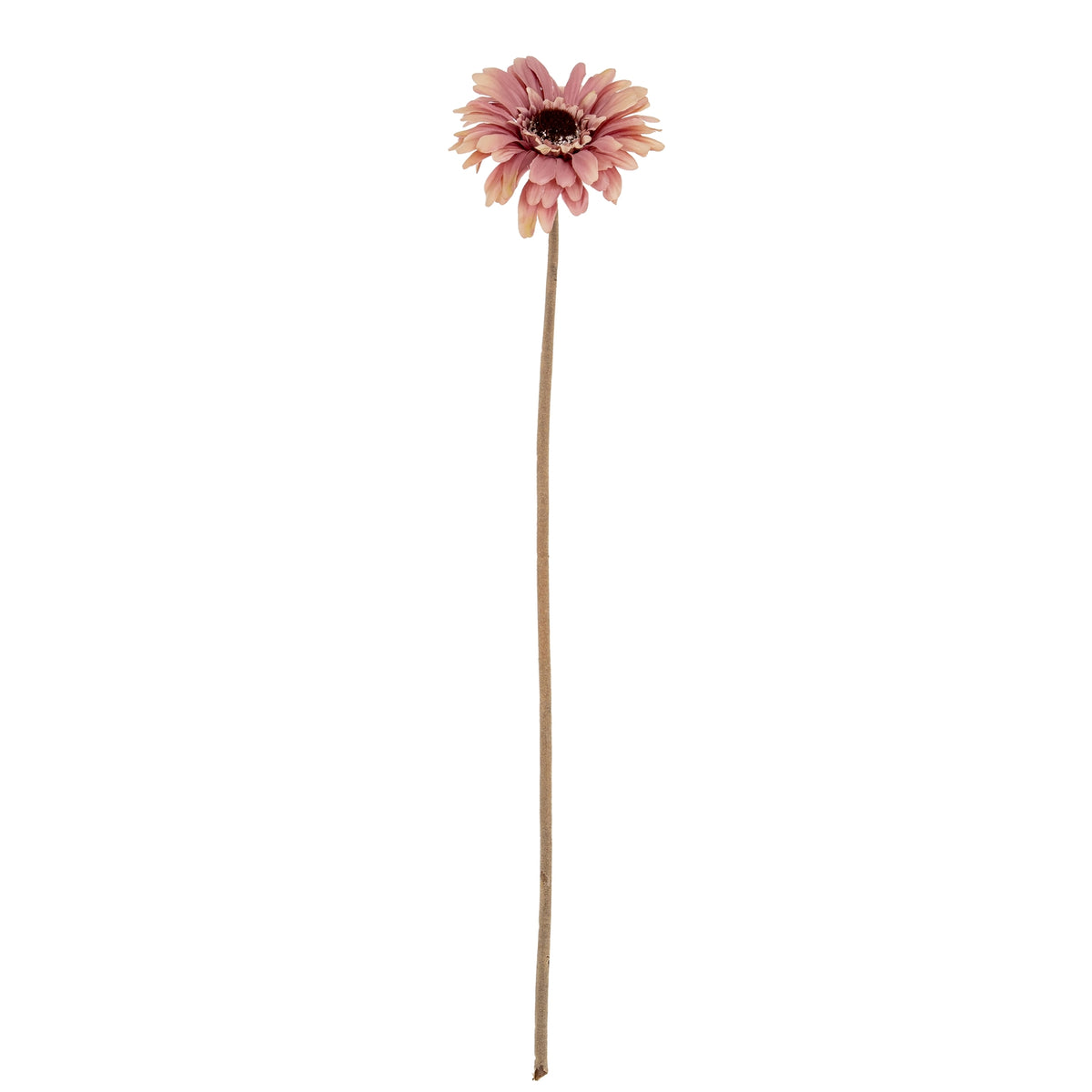 Pink Gerbera Stem
