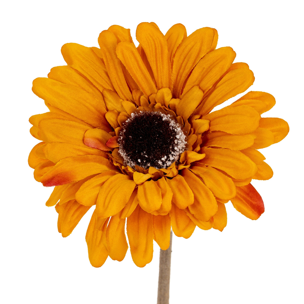 Orange Gerbera Stem