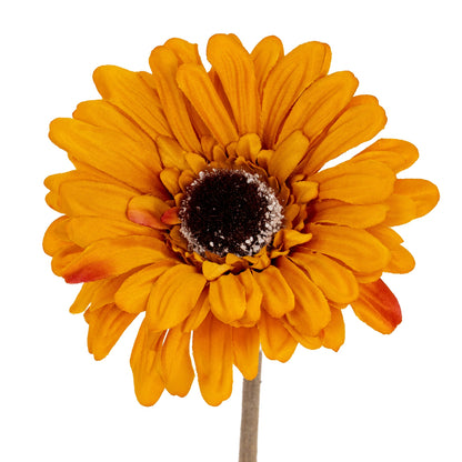 Orange Gerbera Stem