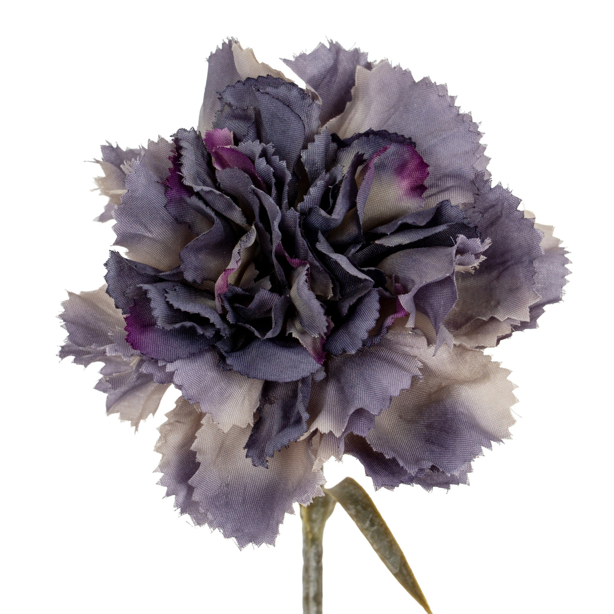 Purple Carnation Stem