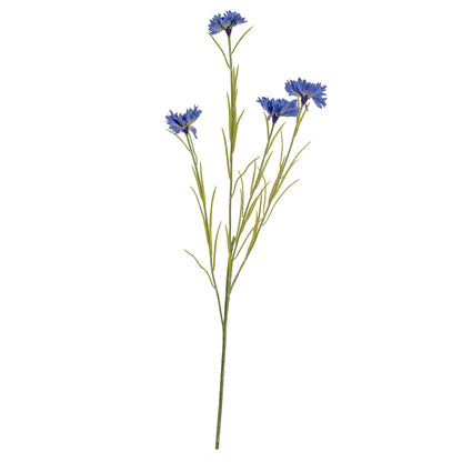 Blue Cornflower Stem