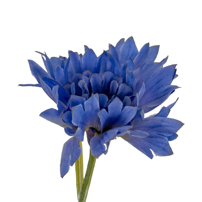 Blue Cornflower Stem