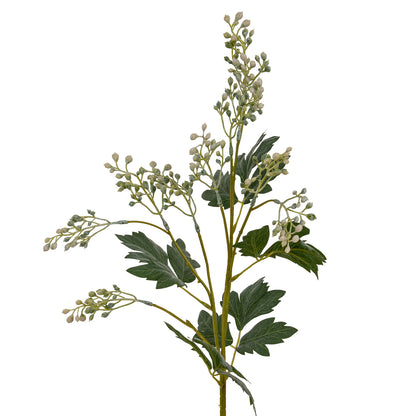 Milk Thistle Bud Spray - GREEN